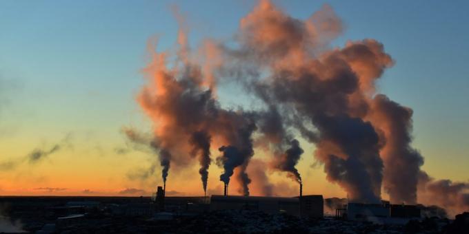 "Sixth Extinction": Her yıl atmosfere karbon yaklaşık 9 milyar ton yayarlar