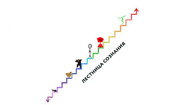 İnsan yaşamının anlamı: bilinç merdiveni