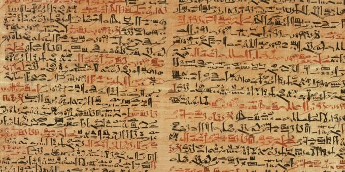 Edwin Smith'in papirüsünden parçalar