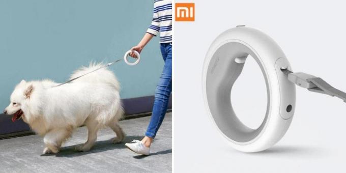 Xiaomi gelen köpekler için tasma