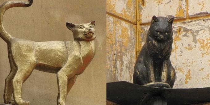 Anıt Elişa kedi ve kedi Vasilisayla: St. Petersburg Anıtlar