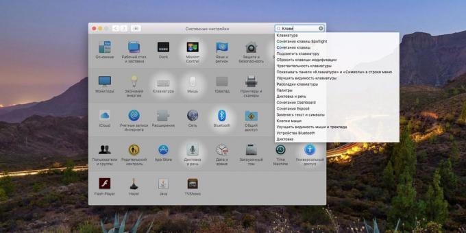 Sistem MacOS ayarları: Nasıl arama alanını kullanmak