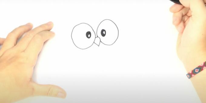 Bir baykuş nasıl çizilir: gözleri ve gagayı çizin