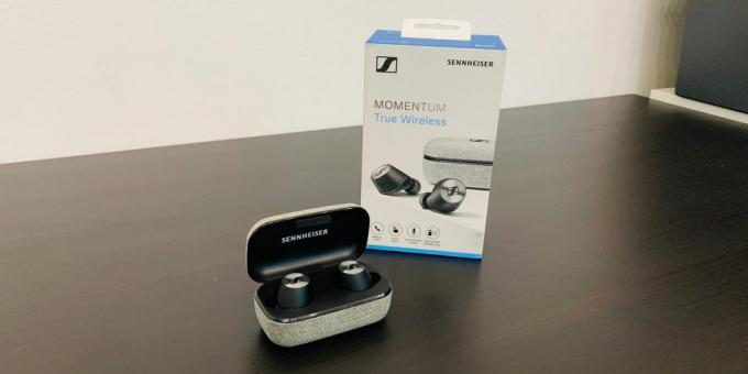 Sennheiser Momentum Gerçek Kablosuz: Genel görünüm