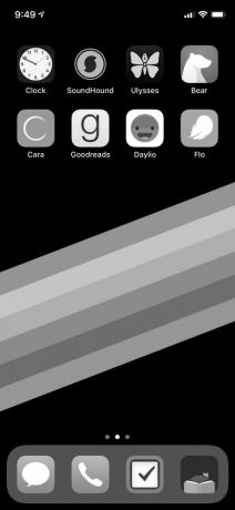 iPhone siyah-beyaz ekran