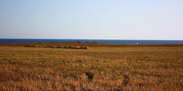 Karadeniz yakınlarındaki kazılar