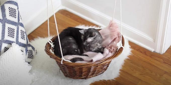 Sepetten bir kedi için hamak yatağı nasıl yapılır