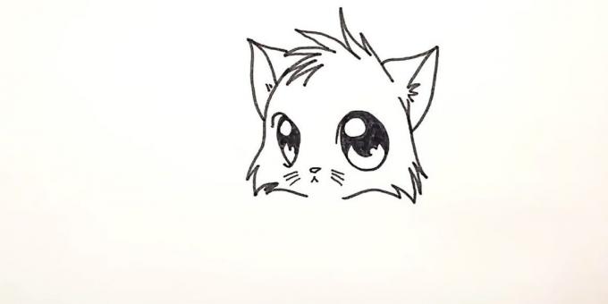 anime kedi çizmek için: başın alt kısmında shorstku çizin