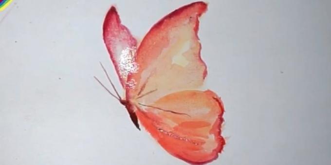 gerçekçi bir kelebek renkleri nasıl çizilir