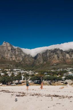 Penguenlerle yürüyüş ve şarap tadımı: Cape Town'da ne görmeli ve nereye gitmeli
