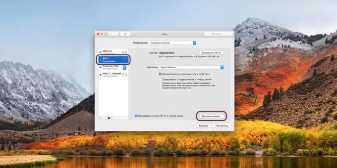 MacOS DNS sunucusu ayarı