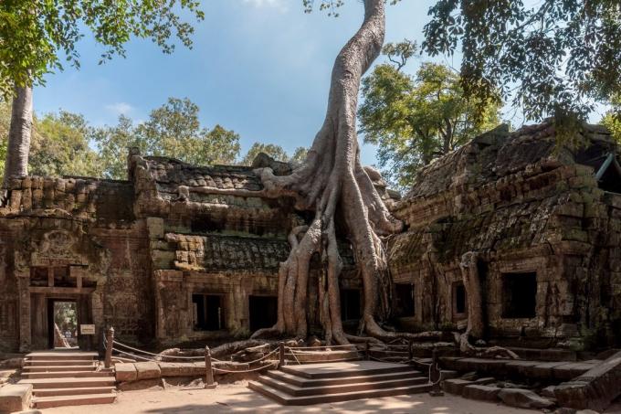 Siem Reap, Kamboçya