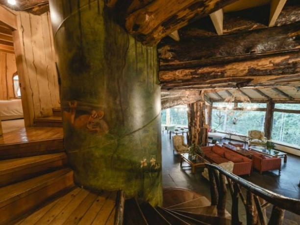 Otel Magic Mountain Otel Şili korumalı ormanlarda bulunur
