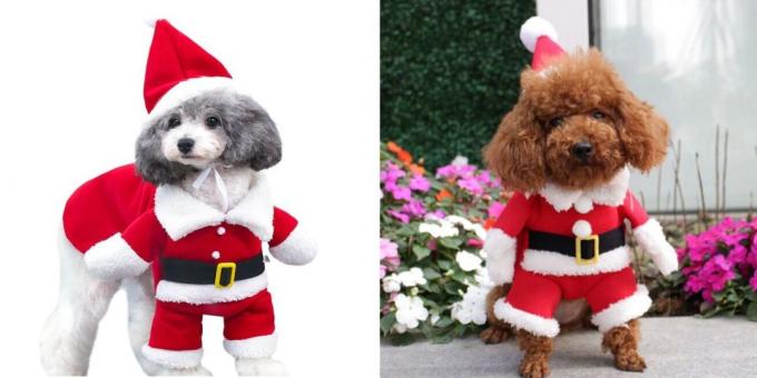 Santa woofing Köpekler için Noel kostümleri