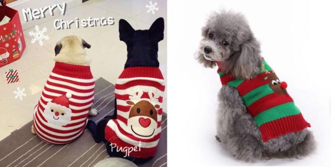 Köpekler için Noel kostümleri: kazak