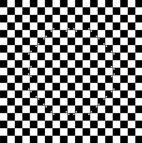 Optik illüzyonlar. satranç tahtası