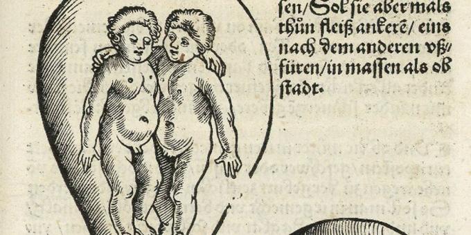 Orta Çağın Çocukları: Rahimdeki İkizler, Eucharius Rodion