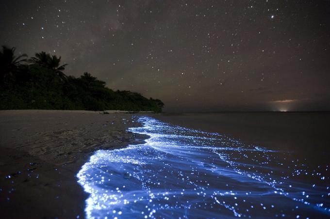 Bioluminescent Plajı - Vaadhoo, Maldivler en iyi plajlar