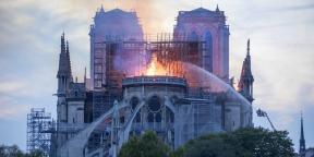 Oyun Assassins Creed Birlik Notre-Dame de Paris onarılmasına yardımcı olacak