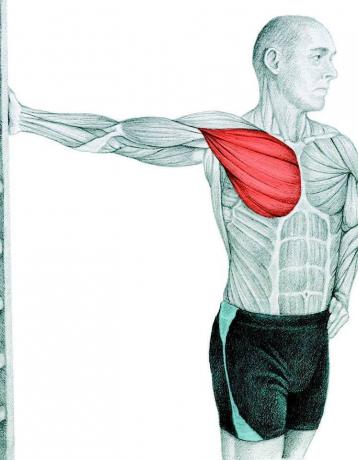 duvardaki göğüs kaslarını germe: germe Anatomisi