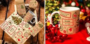 Ağacın altında ne koymak için: 20 serin fikirler Noel hediyeleri