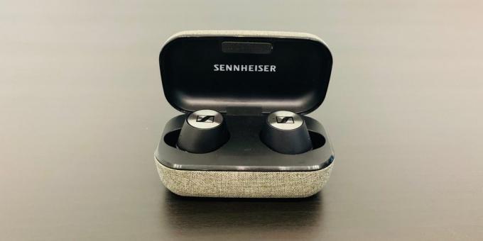 Sennheiser Momentum Gerçek Kablosuz: Görünüm