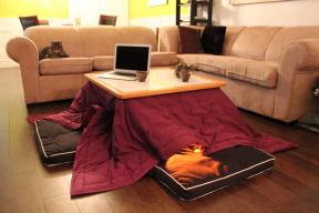 Sıcak bir tablo kotatsu ile Japonca ısıtır