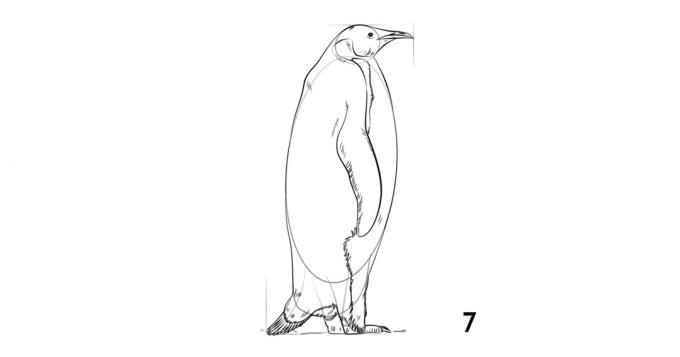 Nasıl bir penguen çizmek için