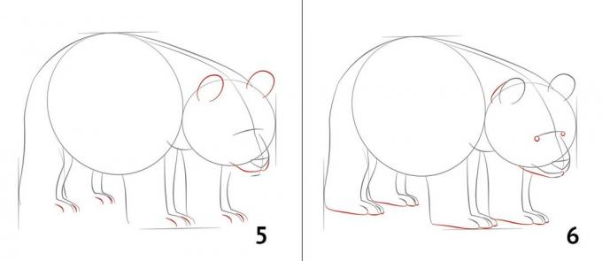 Nasıl bir panda çizmek için