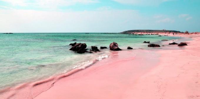 İnanılmaz güzel bir yer: Sardinya, İtalya pembe plaj