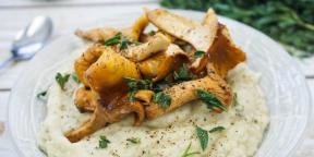 7 tarifleri chanterelles patates aromalı