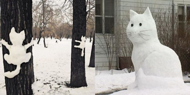 Kar rakamı: Kedi