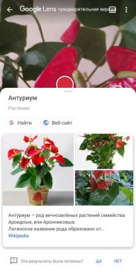 Edebilen tanıyan ev bitkileri 5 mobil uygulamalar,