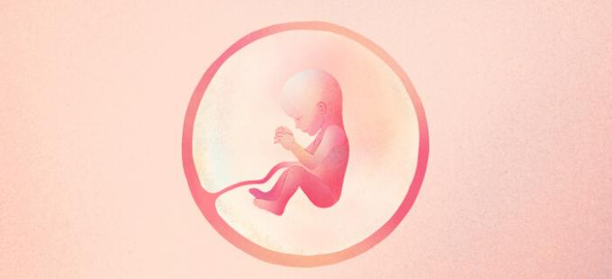 19 haftalık hamilelikte bir bebek nasıl görünür?