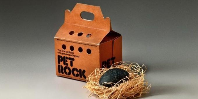 İş Fikirler: Pet Rocks