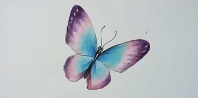 daha doygun renk mor kelebek kanatlarını ekle