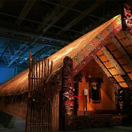 Yeni Zelanda Müzesi (Te Papa Tongarewa)