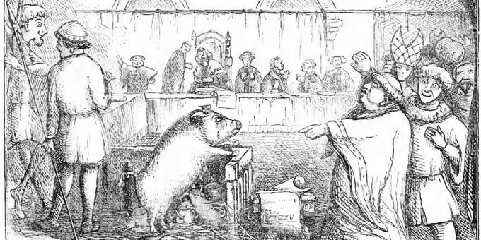 Bir domuz ve onun domuz yavruları, bir çocuğu öldürmekten yargılanıyor. Odalar Günü Kitabından Örnek
