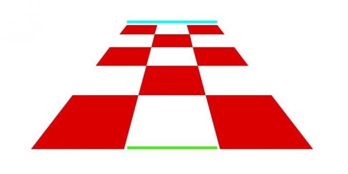 Optik illüzyonlar. satranç tahtası