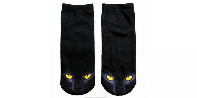 kedilerle Çorap