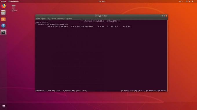 Linux terminali indir torrentlere izin verir