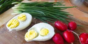 Kusurlu tavuk yumurtası yemek güvenli midir?
