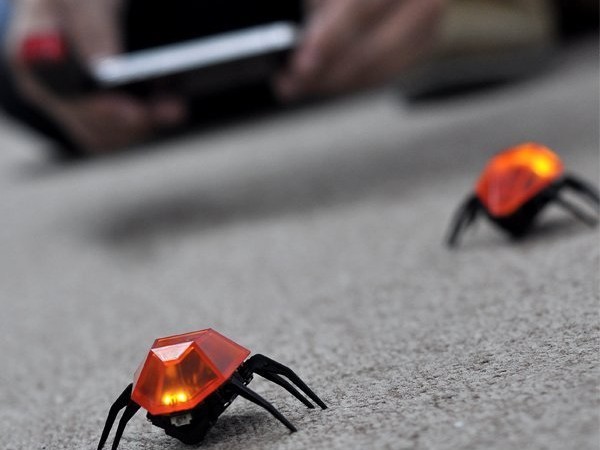 robot hamamböceği
