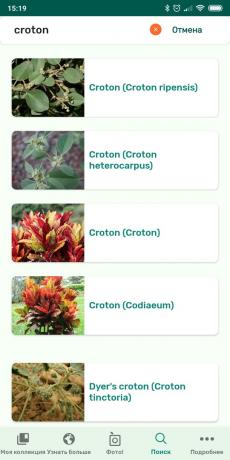 PlantSnap kullanarak kapalı bitkilerin türlerini tanımlamak
