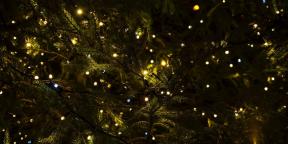 Putperestliğin bize gelmiş 6 Noel gelenekleri