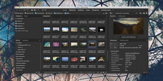 Nasıl fotoğraflardan oluşan bir koleksiyonu düzenlemek için: Adobe Bridge