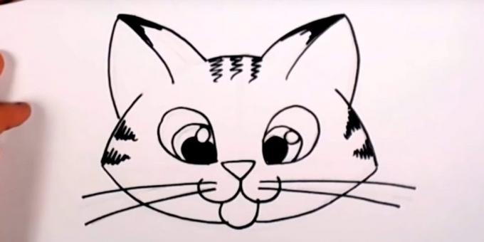 karikatür tarzında bir namlu kedi nasıl çizilir