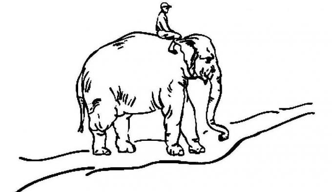 iyi alışkanlıklar: fil, binici ve yol