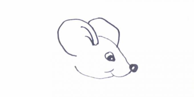 Bir sıçan nasıl çizilir: kulakları tasvir edin