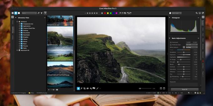 Corel AfterShot Pro: fotoğraflardan oluşan bir koleksiyonu düzenlemek için nasıl